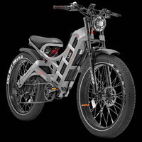 Vélo électrique longue portée Custom Color Romeo Pro 250W 48V 60AH 100-200 miles, stock US CA EU, livraison gratuite, vélo électrique pour adultes