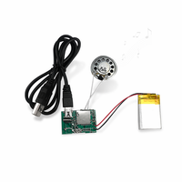 Module sonore magnétique USB standard d'exportation, mécanisme vocal enregistrable pour cartes de vœux et boîtes cadeaux, vente en gros