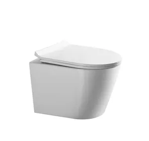 Gantungan Toilet pasang dinding Instock, mewah dengan dudukan dinding Wc Drain Toilet mangkuk Matt putih gantung dinding kamar mandi gantungan Toilet