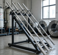 Barre d'haltères pour musculation, finition chromée, poignée moletée, barre droite pour la musculation à domicile, équipement d'entraînement de musculation