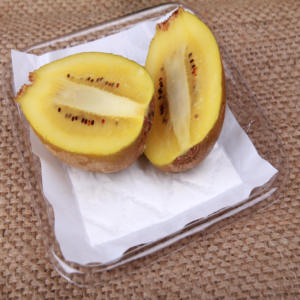 2025 Fish Cast Film PE SAP Meat Mat - Product Image 1