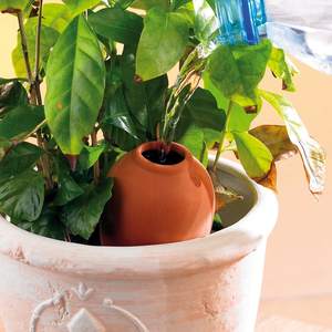 Set di 3 distributori d'acqua a sfera in <span class=keywords><strong>Terracotta</strong></span> irrigazione automatica per la cura delle piante - Product Image 3