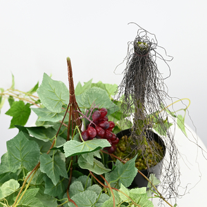 Nhà Sản Xuất Bán Buôn Mô Phỏng Cây 75Cm Trái Cây Nhân Tạo Cây Nho Trong Nhà Bọt Trái Cây Trang Trí Cây Màu Xanh Lá Cây - Product Image 2