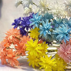 Fiori Secchi Naturali di Cereus a Fioritura Notturna, Bouquet Artigianale Multicolore, Decorazione Floreale per Matrimoni e Regali - Product Image 1
