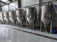 Équipement de fermentation pour brasserie de 600 L pour la fabrication de bière