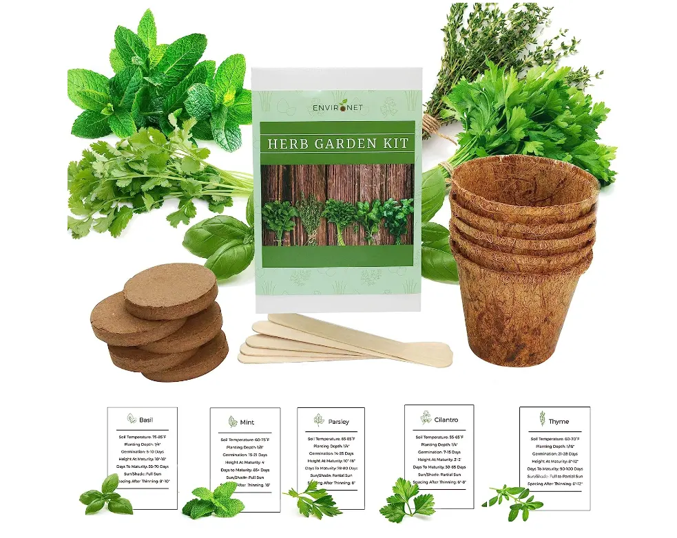 Kit da giardino per erbe. Kit avviamento semi Indoor. Coltiva 5 erbe diverse a casa. Regali per il giardinaggio e la decorazione della casa