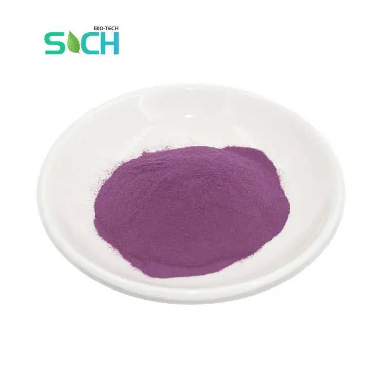 Échantillon gratuit de haute qualité poudre de pomme de terre violette 100% poudre de patate douce violette biologique pure pour boisson alimentaire