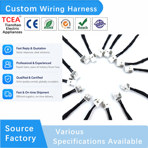 TCEA FLRY-B 0.35mm 电缆线束 PVC 带外壳 560123-0200&端子 560124-101 适用于汽车 P3011-2 后灯位置模块 - Product Image 3