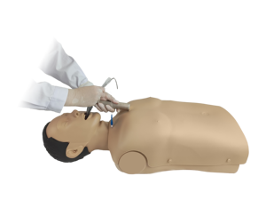 Manekin silikon setengah badan untuk alat bantuan pertama sains medis pelatihan <span class=keywords><strong>CPR</strong></span> dan intubes dengan cahaya sirkulasi darah - Product Image 5