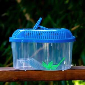 Mini Pecera Transparente de Plástico de Excelente Calidad para Tortugas, Peces Dorados, Cría y Transporte de Mascotas - Product Image 5