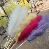 Grande herbe de pampa naturelle 2-4ft Grande vente de fleurs sèches pour la décoration intérieure Boho Decor Wedding Arch Floral Arranging Pampas Bouquet