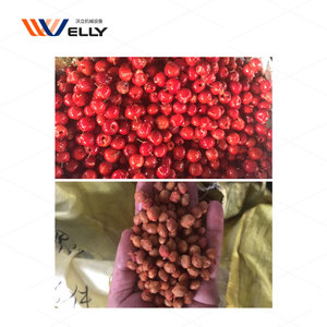 Chất lượng tốt thương mại Mini Cherry angiomas <span class=keywords><strong>Pit</strong></span> Loại bỏ máy để bán Cherry rỗ máy công nghiệp - Product Image 5