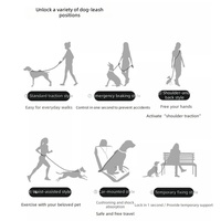 Laisse de chien moderne de luxe à double poignée, robuste, avec amortisseur de chocs, réfléchissante, avec boucle de ceinture de sécurité de voiture, pour l'entraînement des grands chiens