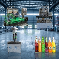 Machines complètes, machine d'embouteillage linéaire séparée en verre de 250ml, pour jus de gaz, boisson, boissons non alcoolisées, bière, boissons carbonatées