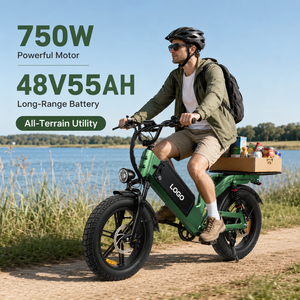 D55 750W 48V55Ah <b>Electric</b> Bike Aluminum Frame Long Range Utility E-Bike with Hydraulic Disc Brake and 7-Speed Gear City Bike - Product Image 1