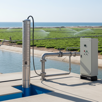 Pompe submersible en acier inoxydable 1,5 CV monophasée pour l'irrigation de l'eau de mer
