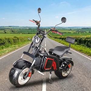 Vélo électrique à gros pneus pour adultes, batterie au lithium 60V 2000W, moteur sans balais, étanche, tout-terrain, scooter à deux roues - Product Image 1