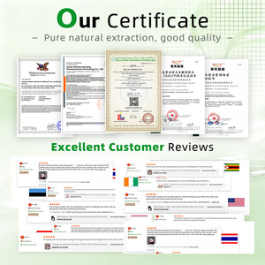 OEM Mais Vendido: Comprimidos Clareadores de Pele com Gluta e Alfa Arbutin, Proteção Antioxidante com Colágeno, Reduz Manchas Escuras - Product Image 6