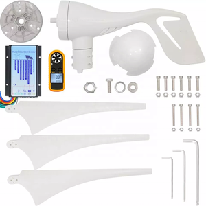 Generador de <span class=keywords><strong>molino</strong></span> de viento de 1000W, 3 cuchillas para uso doméstico en granja, sistema de energía libre, 12V, 24V, 48V, turbina eólica para el hogar, granja, ciudad, costo - Product Image 6