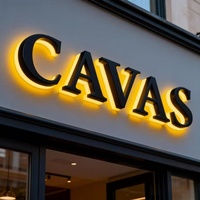 Enseigne LED 3D en acrylique et métal pour magasin, intérieur/extérieur, lettres lumineuses, logo d'entreprise, enseigne rétroéclairée personnalisée