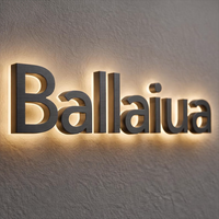 Enseigne lumineuse LED 3D personnalisée pour entreprise, logo lumineux, enseigne rétroéclairée en métal doré et acrylique, enseigne illuminée pour magasin, bureau, réception