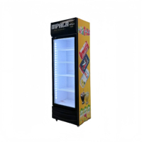 Réfrigérateur de boissons en gros d'usine pour afficher l'eau glacée et l'unité de refroidissement de cola avec porte en verre pour congélateur à affichage de glace