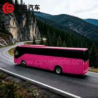 Bus diesel TengLong rose personnalisé de 10,5 m, neuf, conduite à droite, Euro 3, pour le transport de touristes et de passagers en ville