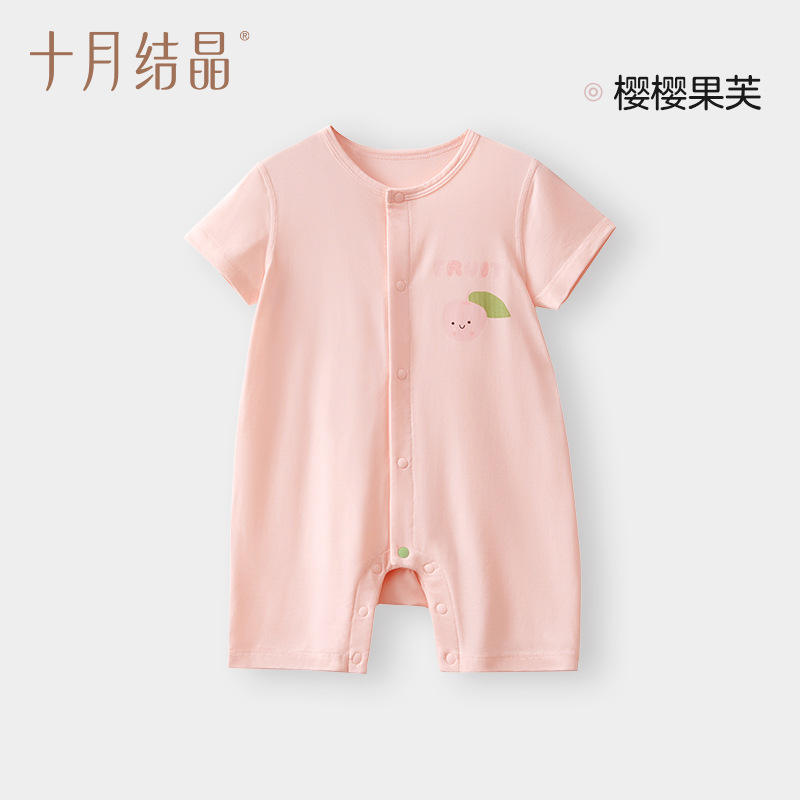 Estilo recto: Pudín de Frutas con Flor de Cerezo