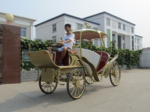 فيكتوريا الذهبي سندريلا عربة حصان/الزفاف buggy/التقليدية الأمريكية عربة - Product Image 5