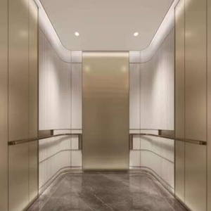 Ascenseur d'observation d'usine pour centre commercial ou villa, décoration de voiture, ascenseur de villa, ascenseur panoramique OTTIS - Product Image 5