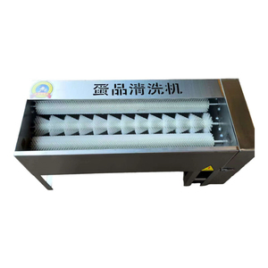 Automatic Single & Double Row Commercial Egg Washing Machine with Motor & Bearing for Bakery and <b>Vegetable</b> Processing Plants - Product Image 6