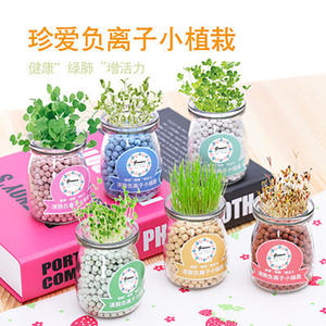 DIY Ion Négatif Petit <span class=keywords><strong>Pot</strong></span> Mini Enfants Plantation Hydroponique <span class=keywords><strong>Pot</strong></span> De Fleur Décoration De Table <span class=keywords><strong>Vanille</strong></span> Plantation - Product Image 3