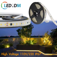 Bande lumineuse LED flexible en silicone LEDODM IP67 étanche AC110V/220V haute tension SMD2835 120LEDs/m 6000K, rouleau de 50m