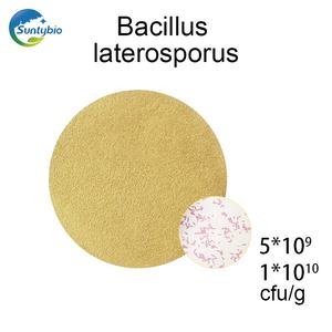 Fertilizante biológico de alta calidad para aditivos alimentarios, <span class=keywords><strong>Bacillus</strong></span> subtilis. - Product Image 2