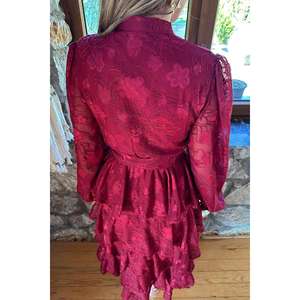 Robe de soirée vintage bordeaux en organza superposé, taille empire, col montant, coupe trapèze, avec détails transparents - Product Image 1