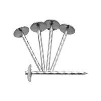 Clous de toiture galvanisés de haute qualité à tige lisse et tête parapluie pour les projets de construction de toitures