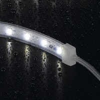 Embouts avant étanches IP67 LED Rope Light PVC Plastic Tail Plug Silicone Rubber Neon Flex Strip