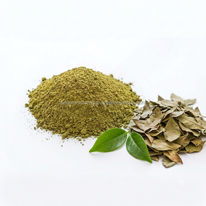 Poudre de henné de qualité supérieure pour une coloration capillaire longue durée - Product Image 4