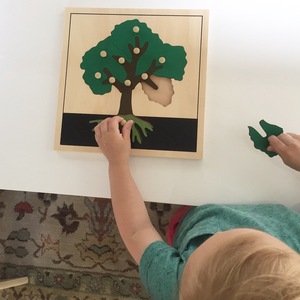 Juguete educativo Montessori de madera de haya para niños, rompecabezas de árbol para el aprendizaje escolar, Holz Puzel Baum, juguetes Montessori - Product Image 1