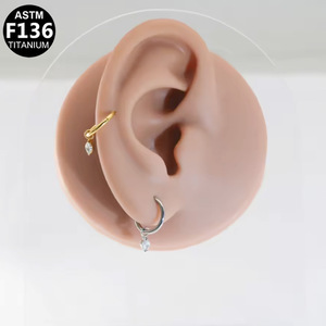 Titanium Pendant <b>Earrings</b> With Zirconia Drop Hoop Studs For Ear Piercing Jewelry ASTM F136 Gold Silver Tone - Product Image 4