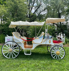 Calèche de Mariage Rétro Style Européen, Voiture Panoramique Ouverte pour 6 Passagers, Calèche Touristique à Chevaux à Vendre - Product Image 3