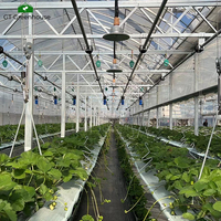 Serre multi-spans GT avec ventilation pour la culture de légumes