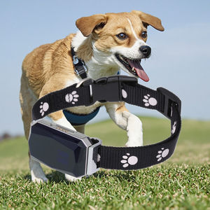 Collar de posicionamiento GPS para mascotas al por mayor de fábrica, conversación bidireccional, AGPS, LBS, WiFi, 4G, compatible con tarjeta impermeable IPX7 2SIM para perros - Product Image 1