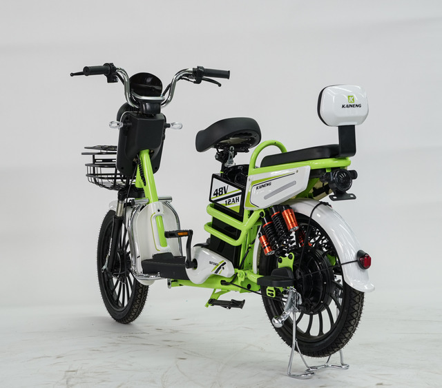 Adult Electric Bike with 20 Inches Wheels for Sale High Quality Ebike From Electric Bicycle Manufacturer
