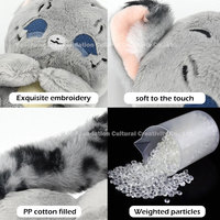 Peluches lestées personnalisées pour une douce caresse, idéales pour la décoration intérieure, compagnon réconfortant OEM, surprise d'anniversaire unique pour enfants