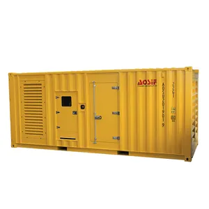 800KW 1000KVA 프라임 파워 디젤 발전기 세트 컨테이너 genset 물 터빈 발전기 (lovol 엔진 포함)