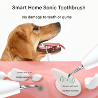 Vente en gros de brosse pour animaux domestiques, nettoyage buccal par ultrasons, produit de blanchiment des dents pour chien, chat, élimination du tartre, protection des gencives