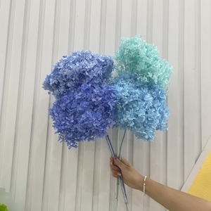 Vendita Diretta dalla Fabbrica: Decorazioni Nuziali con Ortensie Anna Essiccate e Conservate di Alta Qualità - Product Image 6