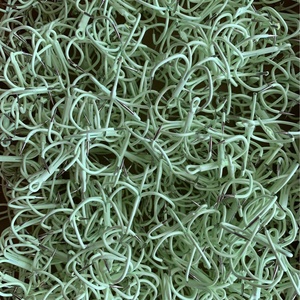 Anzuelos de Pesca Multifuncionales de Alto Rendimiento Hechos en China - Product Image 6