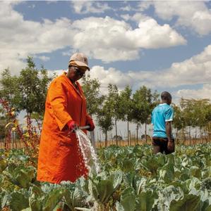 24V 300W 4m <span class=keywords><strong>3</strong></span>/<span class=keywords><strong>H</strong></span> 35M <span class=keywords><strong>3</strong></span>นิ้ว0.4hp DC ปั๊มน้ำใต้น้ำพลังงานแสงอาทิตย์ - Product Image 3